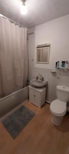 浦耳Cozy house的浴室里有马桶、洗手池和淋浴。