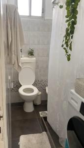 a bathroom with a toilet and a shower curtain at Apartamento entero 2 Dormitorios in Montevideo