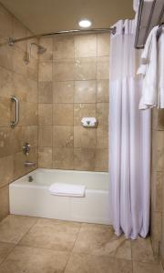 y baño con bañera y ducha con cortina de ducha. en Holiday Inn Portland - Columbia Riverfront, an IHG Hotel, en Portland
