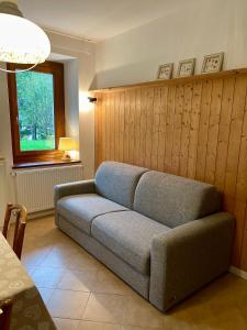 a couch sitting in a living room with a window at Garden Dream in Valle di Cadore +17 photos