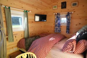 Μια τηλεόραση ή/και κέντρο ψυχαγωγίας στο Burnside of Ae Glamping Shepherd's Hut +24 φωτογραφίες