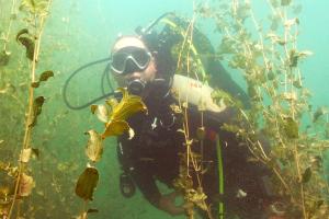 Hosté ubytování Le Cabanon du Lac, Aix-les-Bains + 38 fotografií
