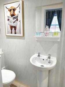 a bathroom with a sink and a cow reading a newspaper at The Dreamcatcher Hotel in Blackpool