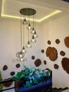 Φωτογραφία από το άλμπουμ του Ortus - Murree Hills σε Murree