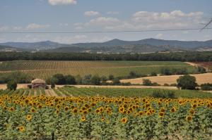 Φυσικό τοπίο κοντά σε αυτό το διαμέρισμα +3 φωτογραφίες