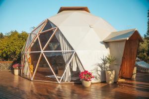 uma tenda em forma de cúpula em um deck com vasos de plantas em Capão Domo em Vale do Capao mais 114 fotografias