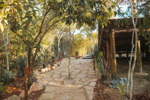 um caminho de pedra que leva a uma casa em uma floresta em Capão Domo em Vale do Capao