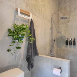 a bathroom with a shower and a plant on the wall at Stay Hotel Nakijin in Nakijin +39 photos