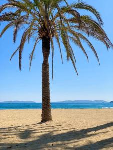 Φυσικό τοπίο κοντά σε αυτό το διαμέρισμα