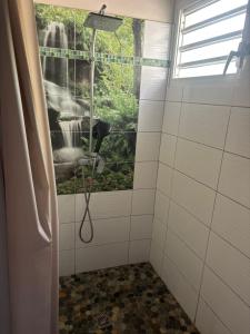 拉芒坦Résidence paisible avec vue sur les montagnes的浴室设有淋浴,享有瀑布的景色