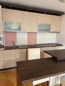 Una cocina con gabinetes de madera y un fregadero. en Apartman Luka, en Niš