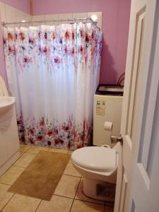 ein Badezimmer mit Toilette und Duschvorhang in der Unterkunft Pircas de Rucalhue Cabins for 4 people and Jacuzzi in Quilaco