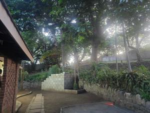 un cortile con un muro di contenimento e alcuni alberi di Cooperville a New Germany