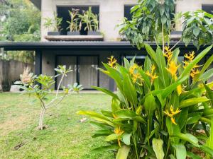 ein Haus mit gelben Blumen vor einem Hof in der Unterkunft Sirilaka Wedagedara in Alutwala