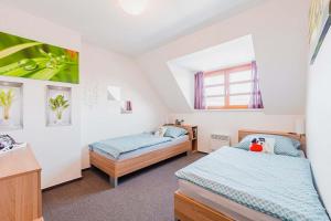 a bedroom with two beds and a window at Skiapartma - Říčky v Orlických horách in Říčky