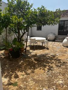 Κήπος έξω από το Casa el Castaño +10 φωτογραφίες