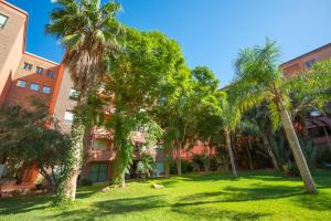un grupo de palmeras frente a un edificio en Luxury 2 BDRM in Hivernage with Pool and Garden, en Marrakech