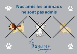 Zvířata v apartmánu nebo okolí