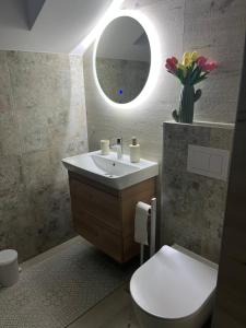 a bathroom with a sink and a toilet and a mirror at Melody in Kapela +30 photos