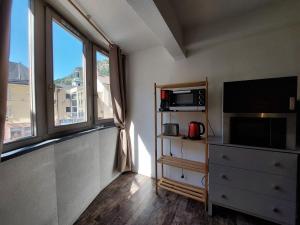ein Wohnzimmer mit einer Mikrowelle und einem TV in der Unterkunft Appartement familial 5 pers, centre-ville, Wifi - FR-1-512-210 in Brides-les-Bains