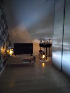 TV a/nebo společenská místnost v ubytování Le repos du facteur