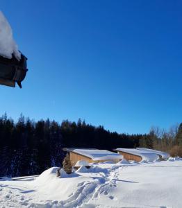 a group of buildings covered in snow at Auberge Les Enguenelles Lodges in Châtelblanc