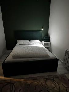 Ce lit se trouve dans une chambre dotée d'un mur vert. dans l'établissement Qonys Hostel, à Atyraū