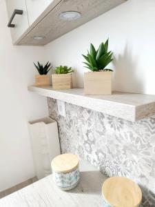 a counter with pots of plants on a wall at Le Gîte "Aubrac" Haut de gamme, Jardin, Piscine in Gabriac
