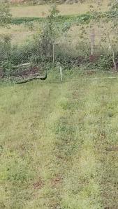 un campo de hierba con una valla. en Peacock Abode Farm, en Bangalore