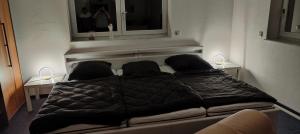 Fotografie z fotogalerie ubytování Grüne Auszeit Dresden 2 v Drážďanech