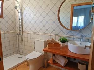 Casa Buena Vista - Rural Oasis في Alajeró: حمام مزود بمرحاض ومغسلة ومرآة +13 صورة