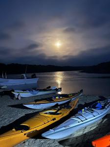 Φυσικό τοπίο κοντά σε αυτό το διαμέρισμα +17 φωτογραφίες