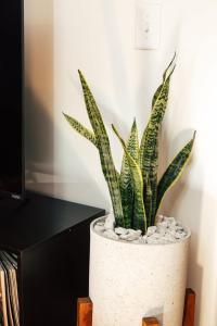 Ảnh trong thư viện ảnh của Loft 308 - The William - Views over Carrigans ở Birmingham