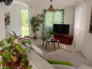 a living room with a couch and a tv at Villa Mahault in Petit-Bourg