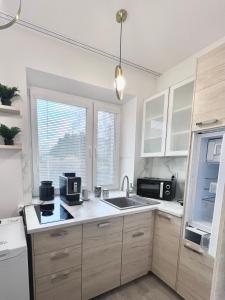 eine Küche mit Spüle und Mikrowelle in der Unterkunft Apartamenty Pokoje Willa Bielany in Warschau