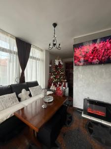 a living room with a christmas tree and a couch at Cabana GRAD in Săliştea de Sus