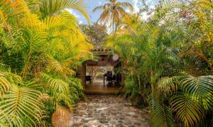 a hallway in a jungle with palm trees at Santuario Playa Bonita in Buritaca