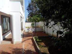 ein kleiner Baum in einem Innenhof neben einem Gebäude in der Unterkunft Casa Fortuna in Il Monte