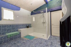 a blue tiled bathroom with a shower and a tub at En savanac in Albiac +22 photos
