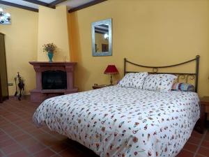 a bedroom with a large bed and a fireplace at Casa Tajonaje in Alajeró