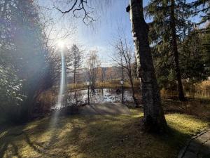 Peisaj natural din apropierea acestui chalet