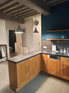 a kitchen with wooden cabinets and two pendant lights at Le Bourguignon - Proche centre ville et Tram in Dijon +12 photos