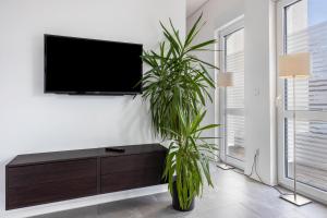 a living room with a tv and a plant at Altenbeken- Ferienwohnung 1 in Altenbeken