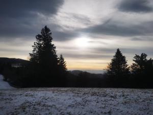 Příroda nedaleko prázdninového domu + 21 fotografií