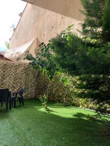 ein kleiner Baum in einem Hof neben einer Mauer in der Unterkunft dabouq 3bedroom near all services JRE in Amman