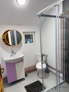 a bathroom with a toilet and a sink and a mirror at La Canton Cheia in Cheia +41 photos