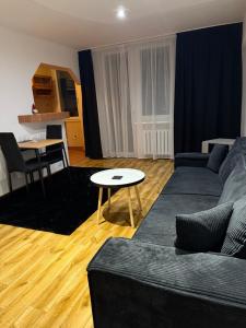 Posezení v ubytování Dwupokojowy Apartament przy Piotrkowskiej