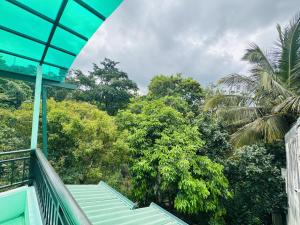 Zahrada ubytování 35-B-5 Kandy