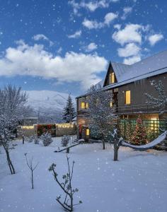 Una casa con un árbol de Navidad en la nieve en Villa BIG HOUSE, en Dilijan
