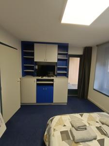 een kamer met een bed, een keuken en een televisie bij Le nid in Colmar +16 foto's